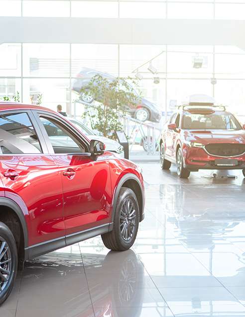 cars at dealership
